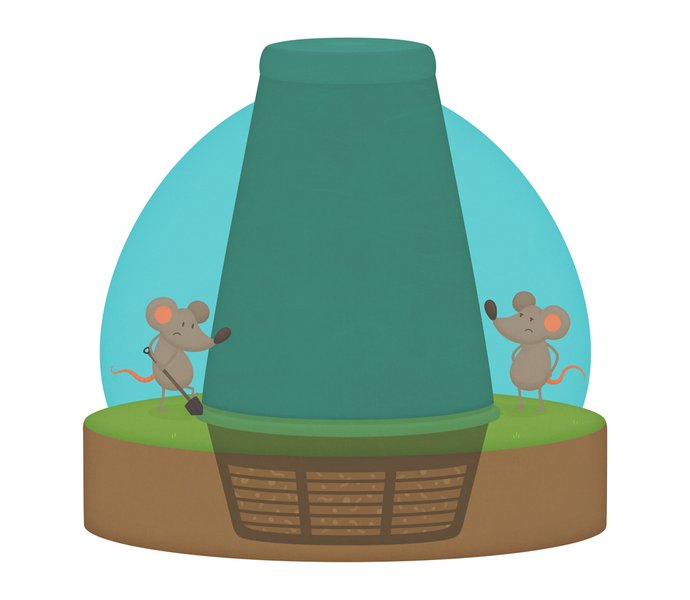 Illustration of rats unable to dig their way into the Green Cone.
