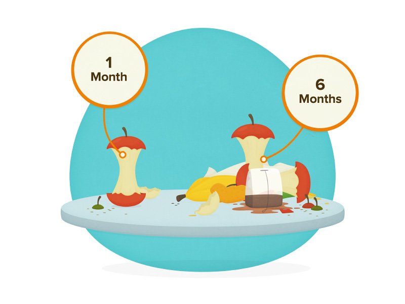 Cartoon of a single apple core labelled "1 month", and cartoon of several apple cores, banana skins, a tea bag and egg shells labelled "6 months"