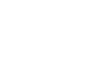 logo for City of Newcastle