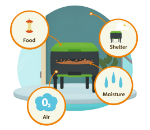worm farm tutorial showing the basic ingredients to make a farm work (Food, Air, Shelter, Moisture)
